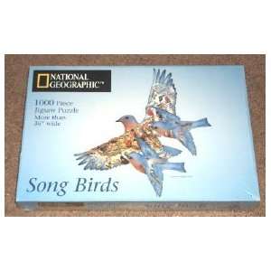   Geographic Song Birds 1,000 Piece Jigsaw Puzzle 