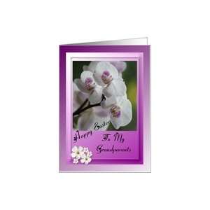  Happy Easter ~ Grandparents ~ Purple & White Orchid Card 