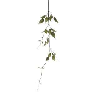  42 Southern Smilax Vine Green (Pack of 24)
