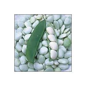 Lima Bean Henderson(bush) 6.0 G Package Patio, Lawn 