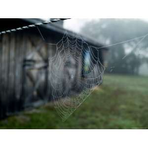 Close Up of a Spider Web in Front of a Horse Barn, Block Island, Rhode 
