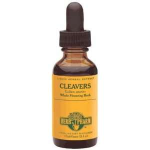  Cleavers Extract