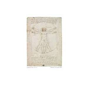 Human Proportions Vitruvian Man By Leonardo Da Vinci Highest Quality 