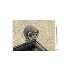  Nurses Day, Thank you , tortoiseshell cat on roof Card 