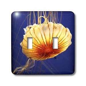 Florene Underwater Animals   Jellyfish Closeup In Water   Light Switch 