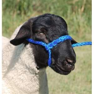  HLTR POLY ROPE ADJ SHEEP H.BL &