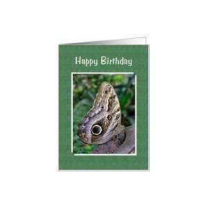 Birthday   Owl Butterfly Card
