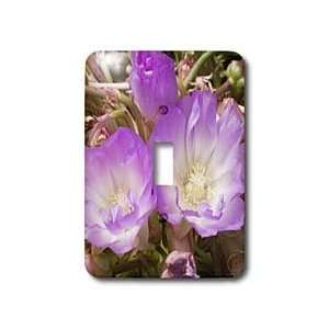   ).Northern California   Light Switch Covers   single toggle switch