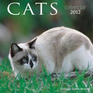  Cats Mini 2012 Calendar