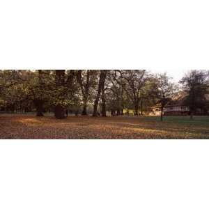  Autumnal Trees in a Park, Ludwigsburg Park, Ludwigsburg 