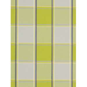  Botanica Plaid Lime by Robert Allen@Home Fabric Arts 