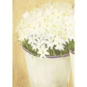  White Flowers In Vase By Cuca Garcia Highest Quality Art 