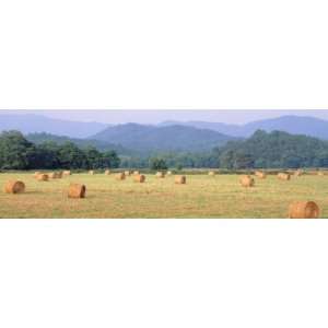  Hay Bales in a Field, Murphy, North Carolina, USA 