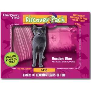 Cat Discover Pack, Russian Blue Toys & Games