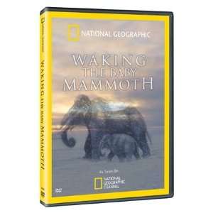  National Geographic Waking the Baby Mammoth DVD 