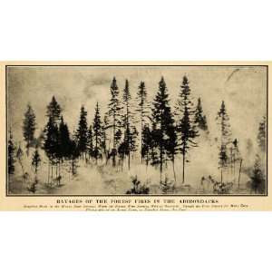  1908 Print Saranac New York Adirondacks Forest Fires 
