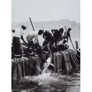  Fisherman Armed with Harpoons Hoisting a Tuna on Board 