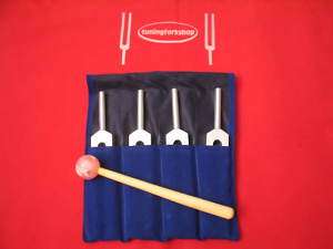 DNA Nucleotides Tuner Tuning forks f/ship+Mallet+Pouch  