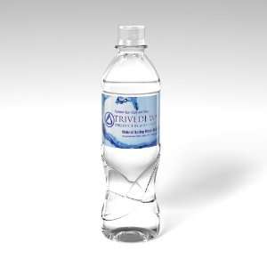 Trivedi Water   24 / 16.9 oz Bottles Grocery & Gourmet Food