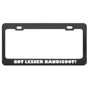 Got Lesser Bandicoot? Animals Pets Black Metal License Plate Frame 