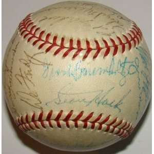   Official ONL Baseball BANKS   Autographed Baseballs
