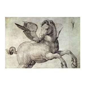  Jacopo De Barbari   Pegasus Giclee