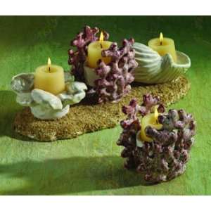  Beachcomber Tealight Single