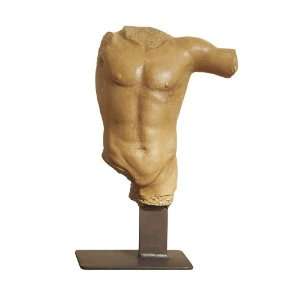  Torso Sculpture on Stand