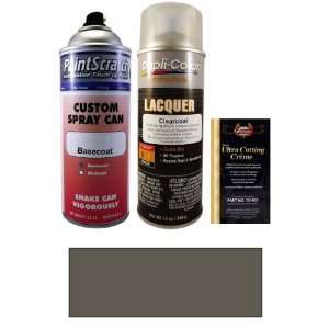  12.5 Oz. Storm Gray Metallic Spray Can Paint Kit for 2011 