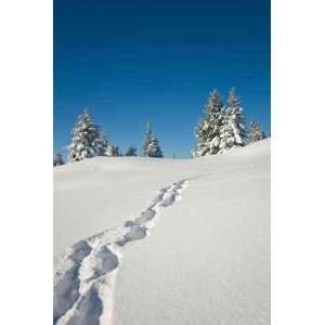  Neige Belledonne   Peel and Stick Wall Decal by 