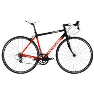  Tommaso Velocita with Dura Ace Road Bike Red 50cm Sports 