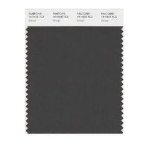    PANTONE SMART 19 0405X Color Swatch Card, Beluga