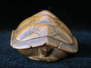 19th Century Edo Boxwood Netsuke of a Turtle Tortoise  