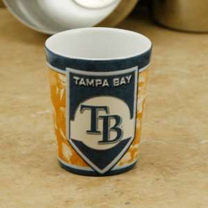  MLB Tampa Bay Rays 2oz. Nostalgic Shot Glass Sports 