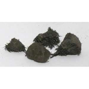  Natural Lodestones 1Lb 