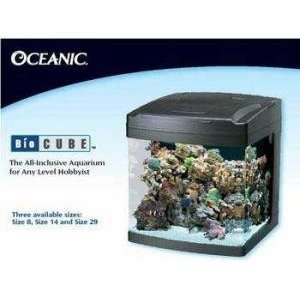  Size 8 Biocube Aquarium System