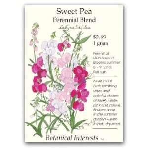  Sweet Pea Perennial Blend Seed Patio, Lawn & Garden