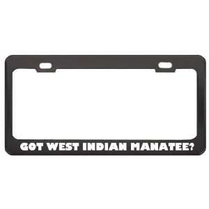 Got West Indian Manatee? Animals Pets Black Metal License Plate Frame 