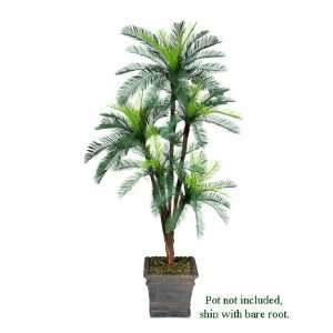   Palm Tree with 5 Heads _plastic Head, with No Pot,