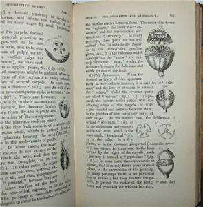   & Physiological Botany, Henslow, 1836, Darwins mentor.  