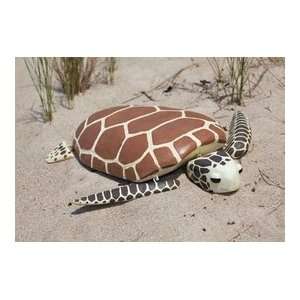  Sea Turtle (29L) Patio, Lawn & Garden