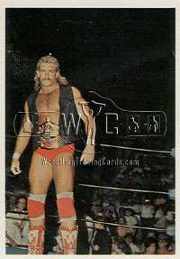 1988 NWA Wonderama complete FACTORY set wrestling cards  