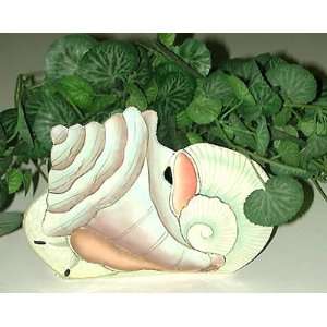  Painted Metal Conch Sea Shell Planter   Shell Decoration 