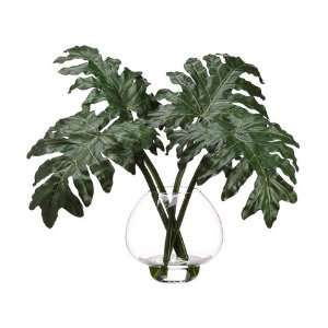   20hx30wx32l Split Philodendron in Glass Vase Green