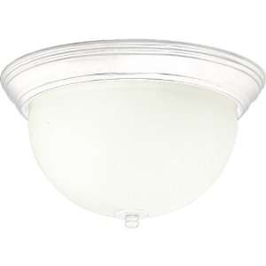  Progress Lighting P3653 30 White Glass Bowl with Matching 