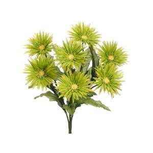  Faux 19 Spider Gerbera Daisy Bush x7 Green (Pack of 12 
