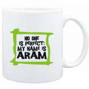    No one is perfect My name is Aram  Male Names