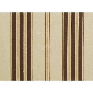  1577 Talan in Chocolate by Pindler Fabric