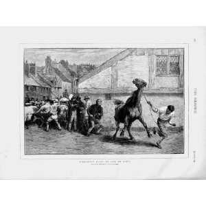 1873 Briton Riviere Print Wild Horse Men Cattle Street  