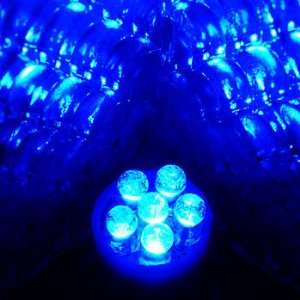  T10 6 LED Bulb   Super Blue Automotive